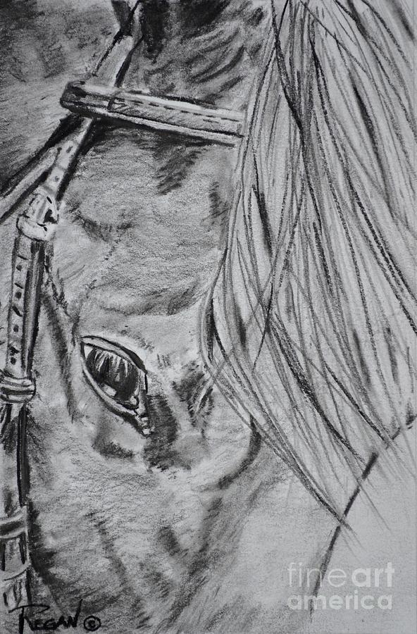 Horse Head Drawing - Horse by Regan J Smith Horse Head Drawing - Horse by Regan J Smith
