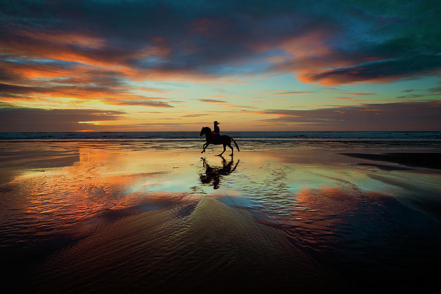 Horse Rider reflections at Widemouth Beach Photograph by Maggie Mccall