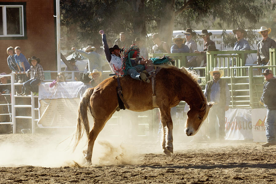 Horse Riding 1 Photograph by John Swartz