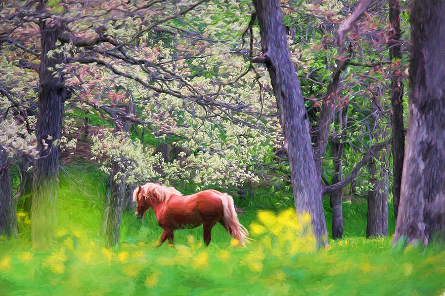 Spring Painting - Horse Running in Spring Woods by Vicki France