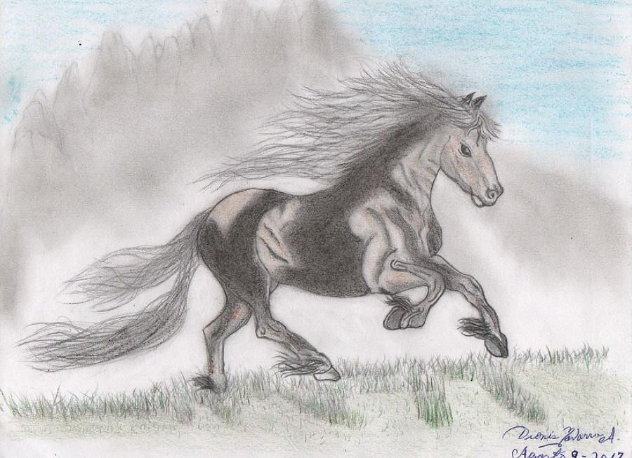 Horse running on the prairie Drawing by Dionis Navarro - Pixels