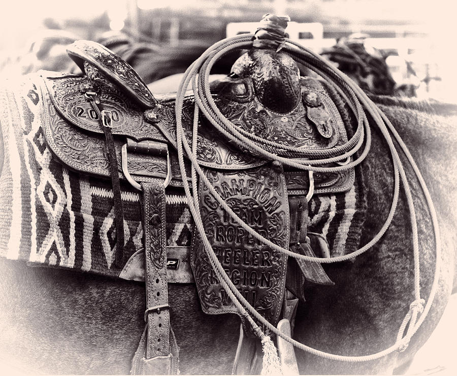 Horse Saddle Photograph by Brian Kinney