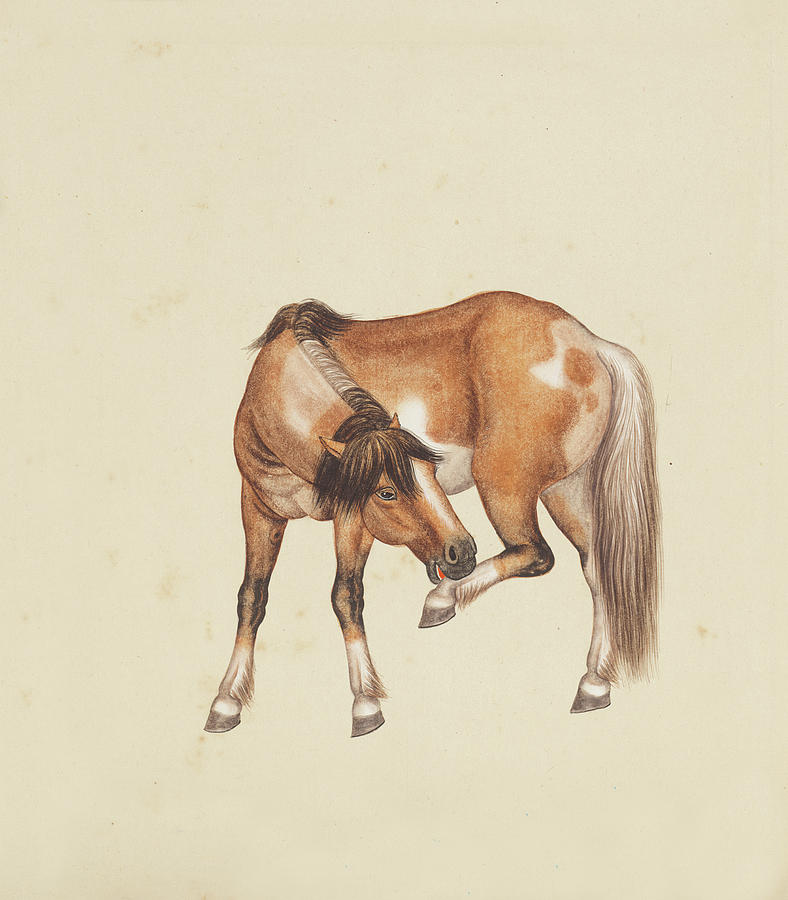 Horse Scratching Painting by Ma Jin