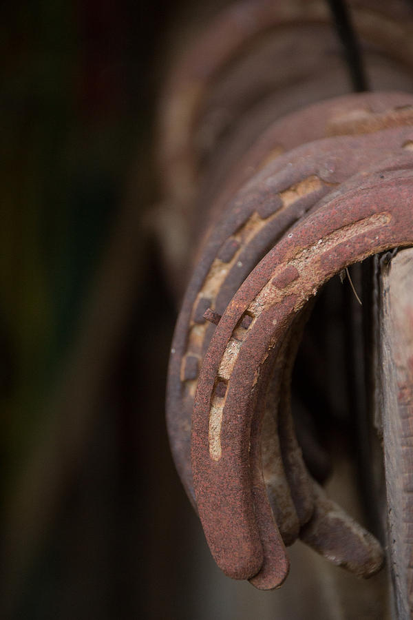 Horse Shoe Photograph by Jay Stockhaus