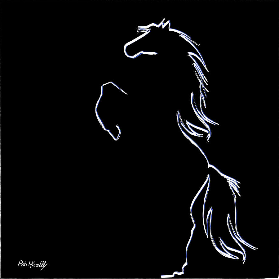 Контуры на черном фоне. Лошадь на черном фоне. Конь на черном фоне. Силуэт коня. Силуэт коня на черном фоне.