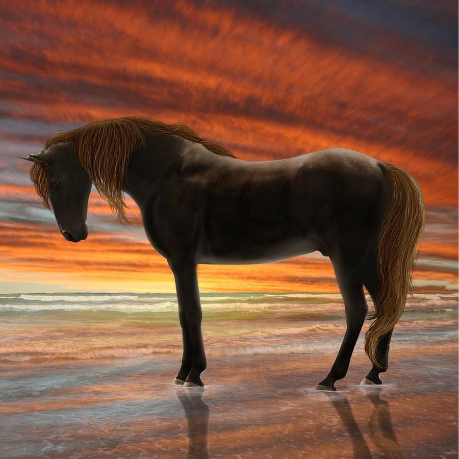 Horse Digital Art by Seemone Camue - Fine Art America