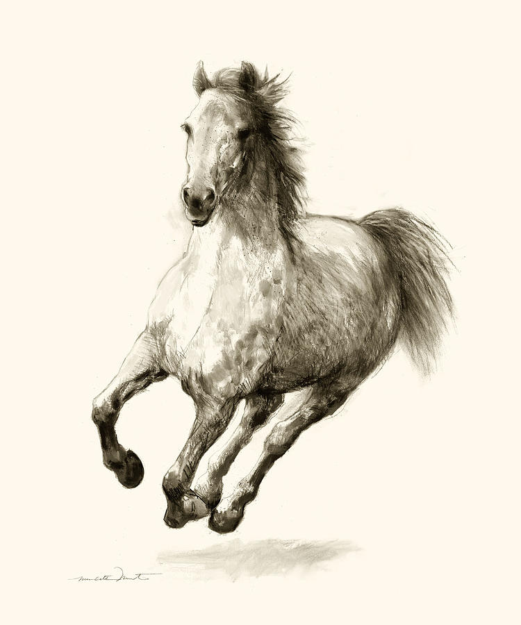 Horse Drawing - Horse Sketch 4 by Meridith Martens