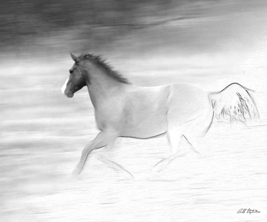 Horse Sketch Digital Art by Bill Stephens