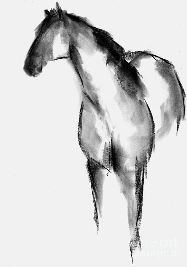 Horse Sketch Drawing by Frances Marino