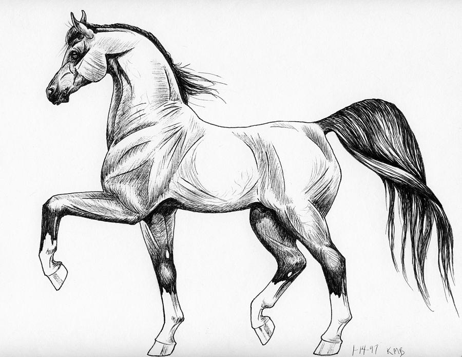 Horse Sketch Too January 97 Drawing by Christopher McKenzie