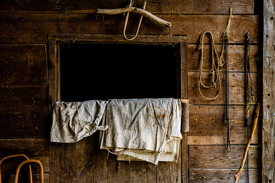Horse Stall Photograph by M G Whittingham