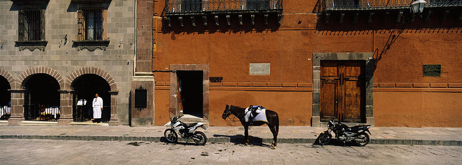 Architecture Photograph - Horse Standing Between Two Motorcycles by Panoramic Images