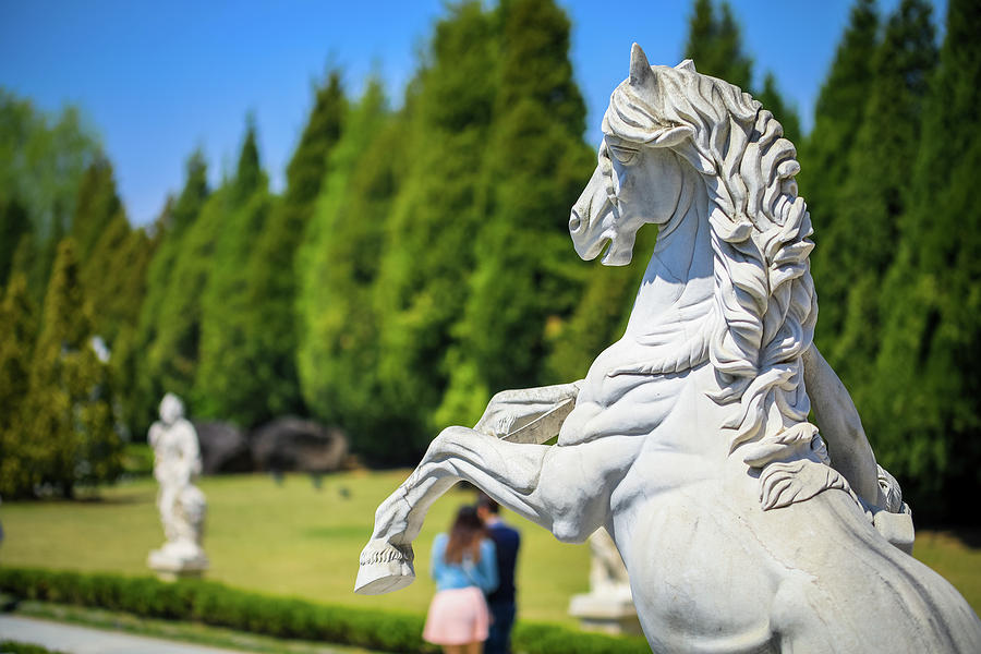 Horse statue Photograph by Hyuntae Kim