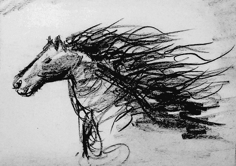 Horse study pc Drawing by Hae Kim