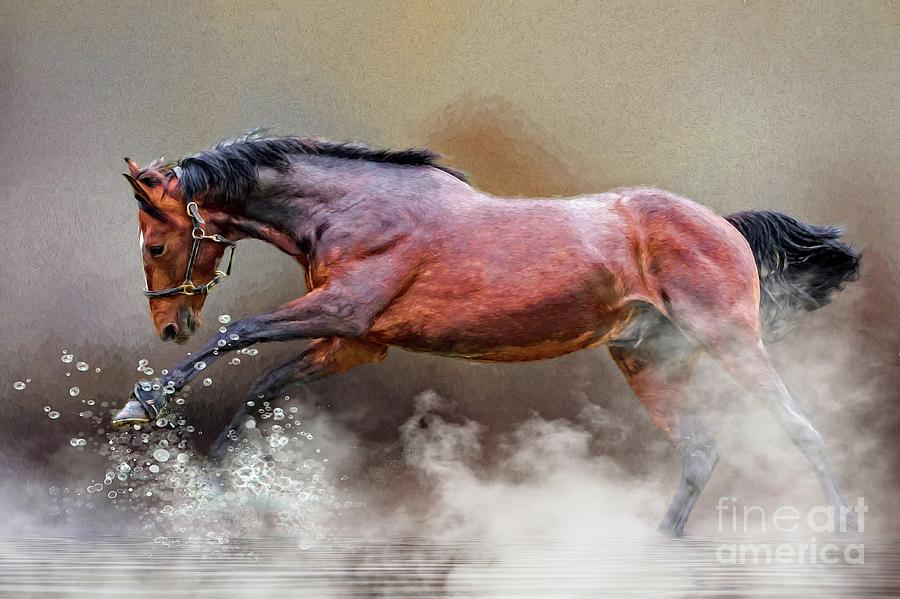 Nature Digital Art - Horse Surf by Suzanne Handel