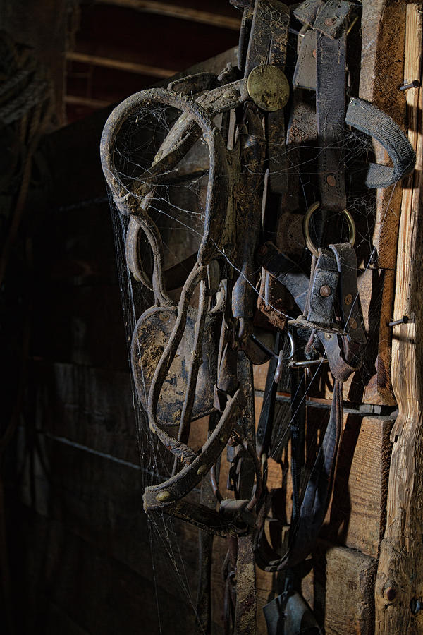 Horse Tack 1 Photograph by Alana Thrower