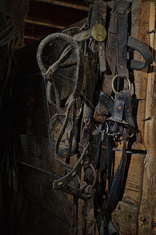 Horse Tack Photograph by Alana Thrower