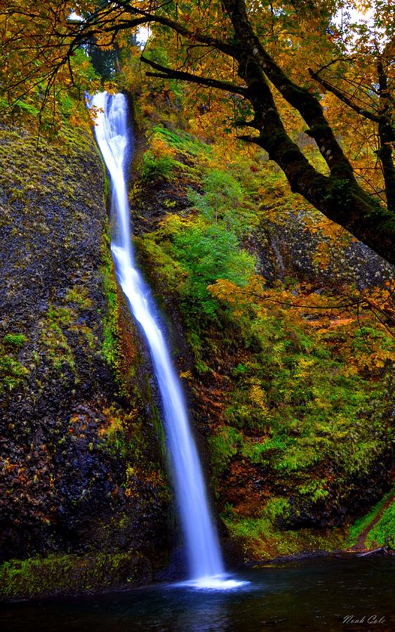 Horse Tail Falls - Autumn Photograph By Noah Cole - Fine Art America