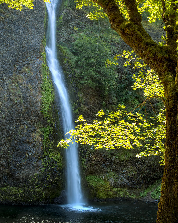 Horse Tail Falls Photograph by Kristina Rinell