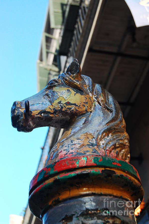 New Orleans Photograph - Horse Tie2 by Jessa DeNuit