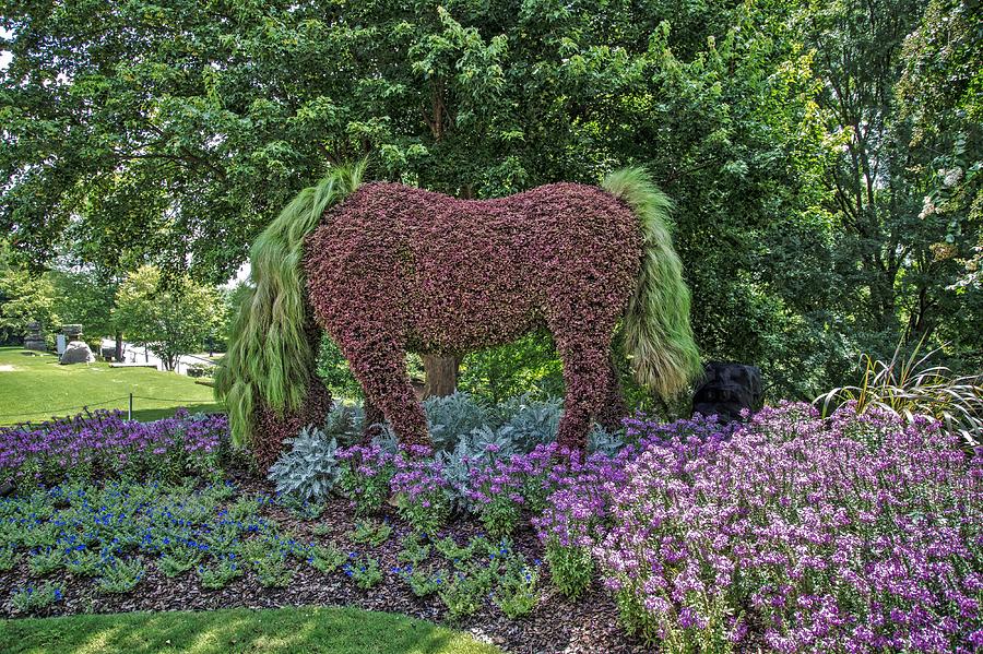   Unicorn Topiary Garden Photograph by Dennis Baswell