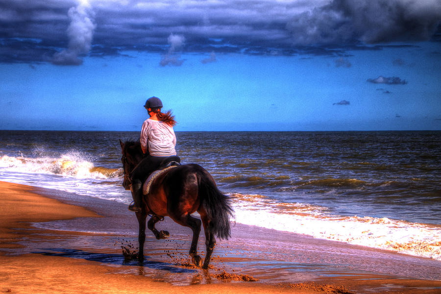 Horse Trotting On Beach Photograph by Colin Bailey | Fine Art America