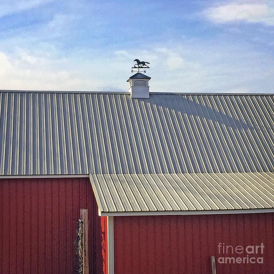 Horse Weather Vane Photograph by Dee Flouton