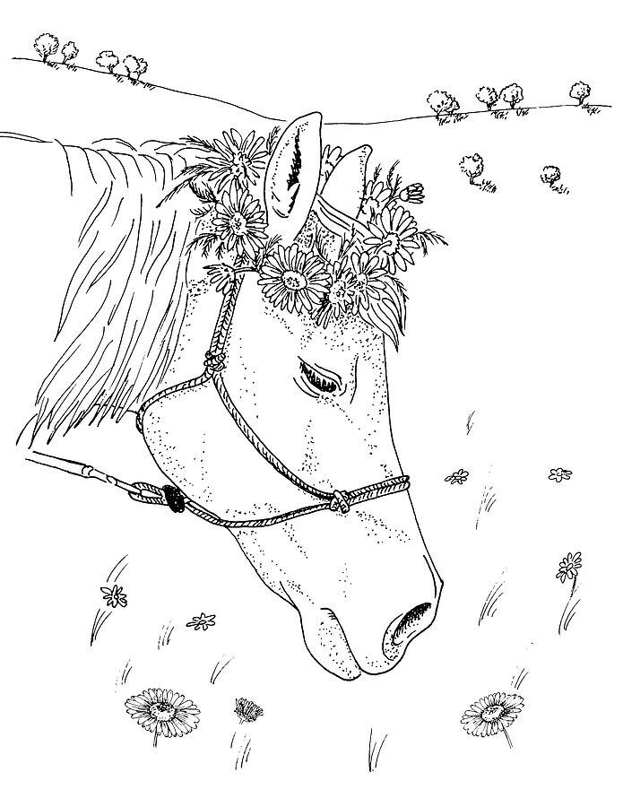 Horse with a Daisy Wreath Drawing by Masha Batkova