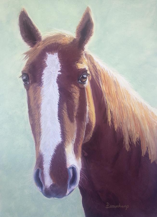 Horse with Blaze Pastel by Nancy Beauchamp
