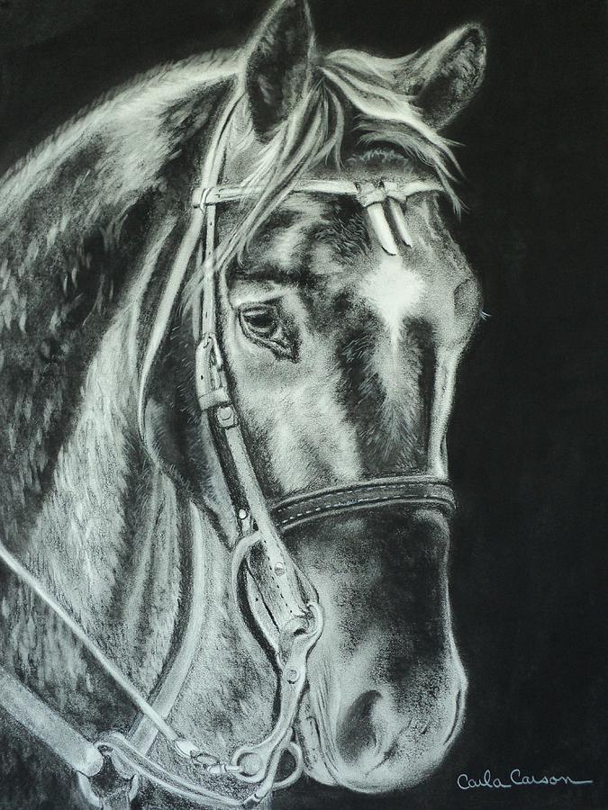 Horse with no name Drawing by Carla Carson
