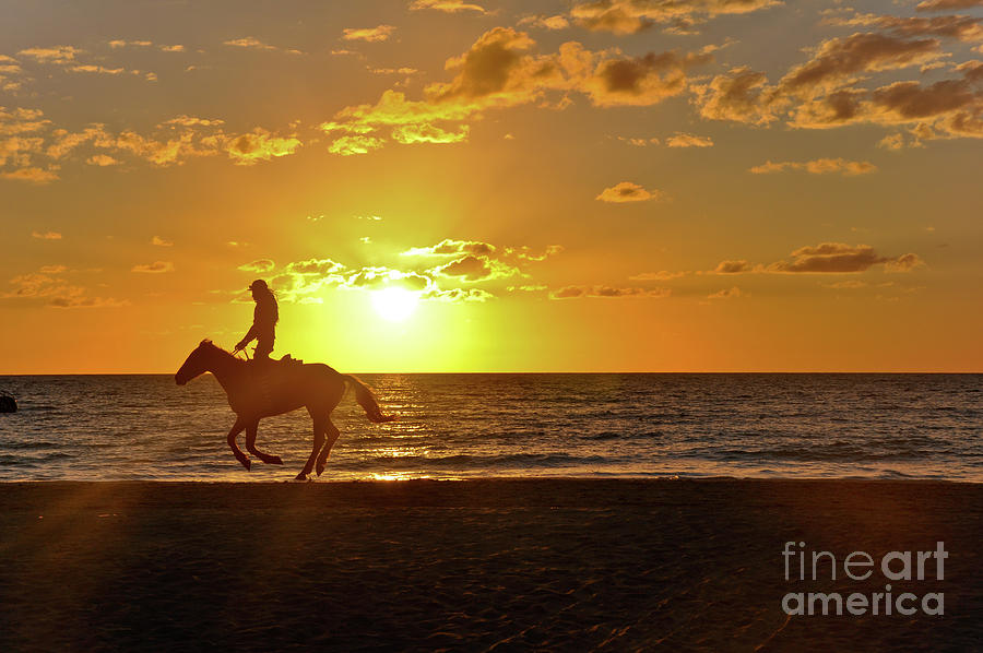Horseback Riding at Sunset in Jamaica Photograph by Elaine Manley