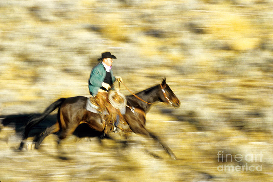 Horseback Rider Photograph by Inga Spence