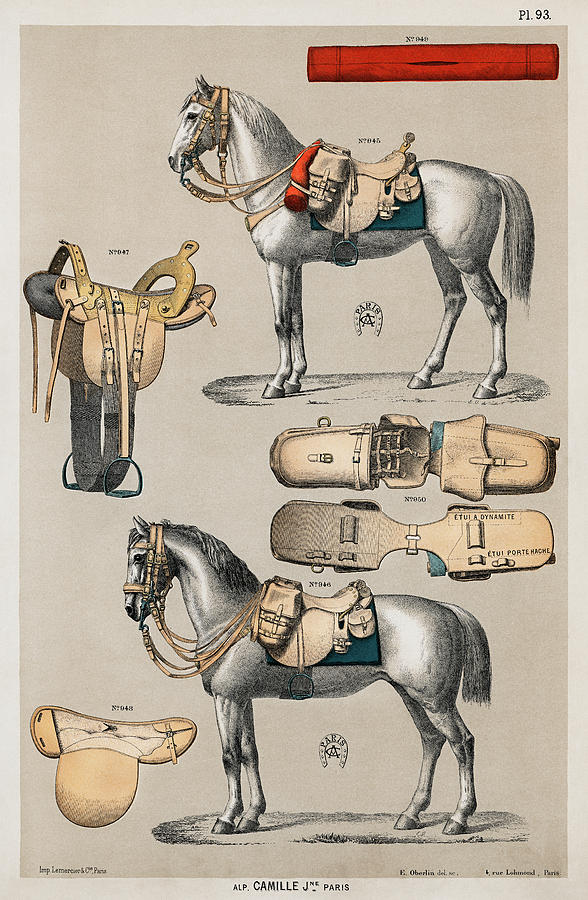 Horseback riding equipments Drawing by Vincent Monozlay