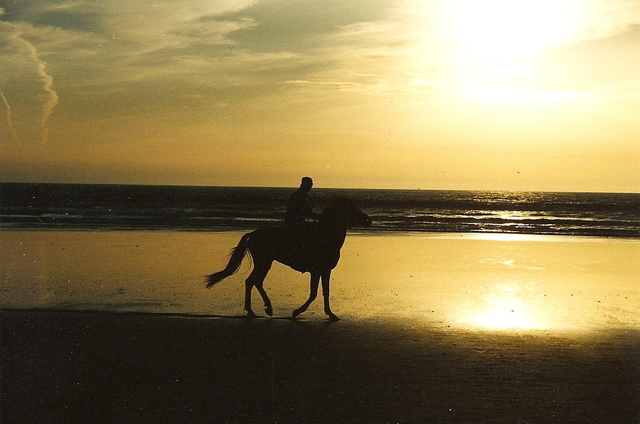 Sunset Photograph - Horseback riding on the beach at Sunset by Bill Setliff