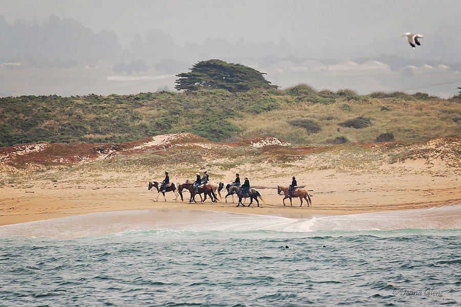 Horseback Riding on the Beach Photograph by Deana Glenz