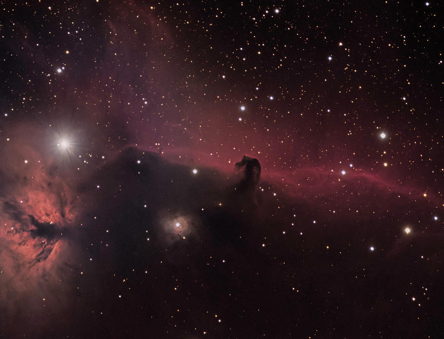 Horsehead Nebula by CHRISTOPHER L THOMLEY Horsehead Nebula by CHRISTOPHER L THOMLEY