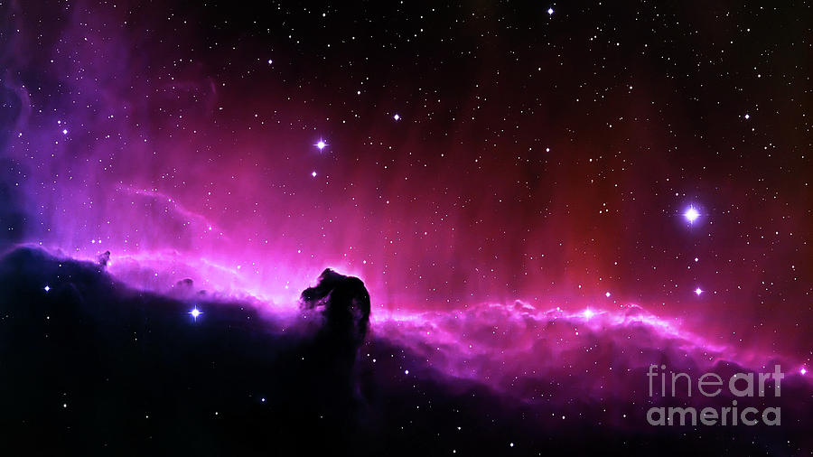 Horsehead Nebula Photograph by Leah McPhail