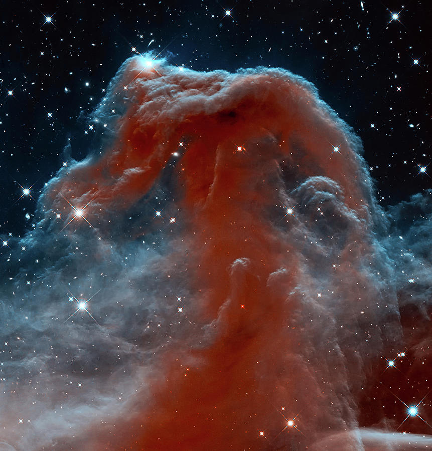 Interstellar Photograph - Horsehead Nebula by Mark Kiver