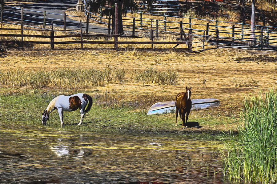 Horses at Lake Berresa Photograph by Bruce Bottomley