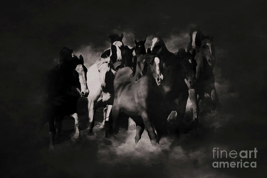 Horses black and white Painting Painting by Gull G