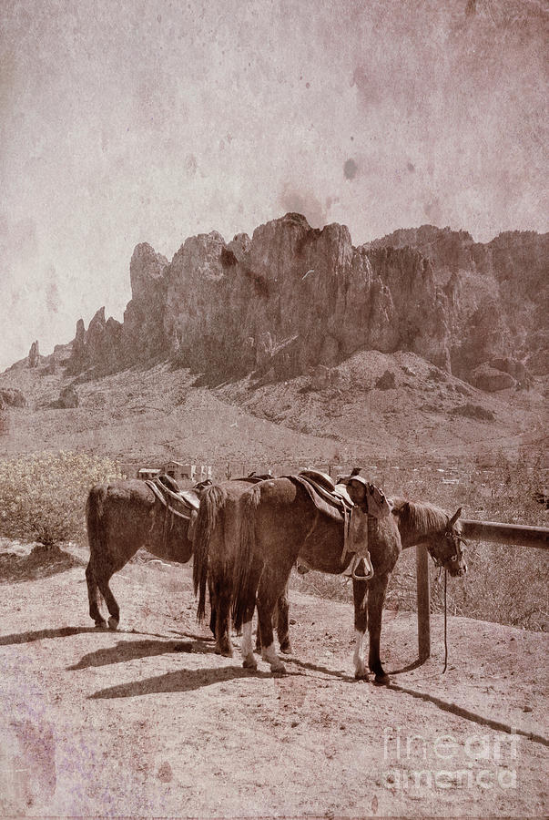 Horses by Superstition Mountains Photograph by Jill Battaglia