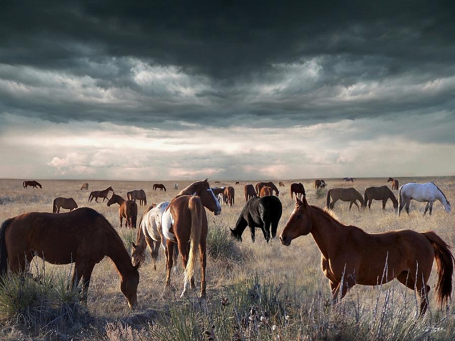 Horse Digital Art - Horses Forever by Bill Stephens