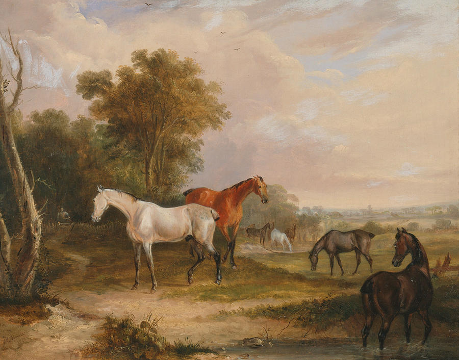 Horses Grazing - A Grey Stallion Grazing with Mares in a Meadow Painting by Francis Calcraft Turner
