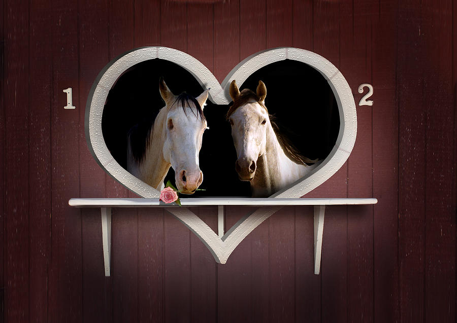 Horse Photograph - Horses in Stable by Gravityx9  Designs