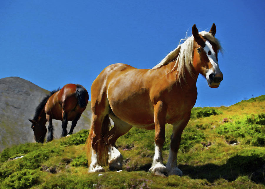 Horses In Sunlight Digital Art by Georgiana Romanovna