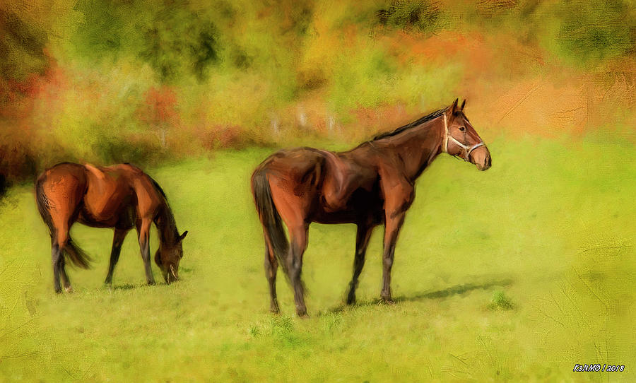 Horses in the Pasture Digital Art by Ken Morris