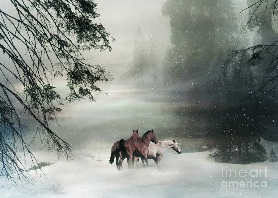 Horses in the Snow Holiday Christmas Image Free Horses Photograph by Stephanie Laird