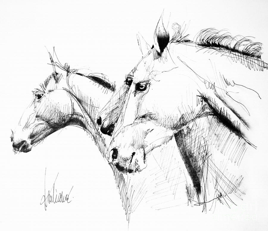 Horses - ink drawing Drawing by Daliana Pacuraru