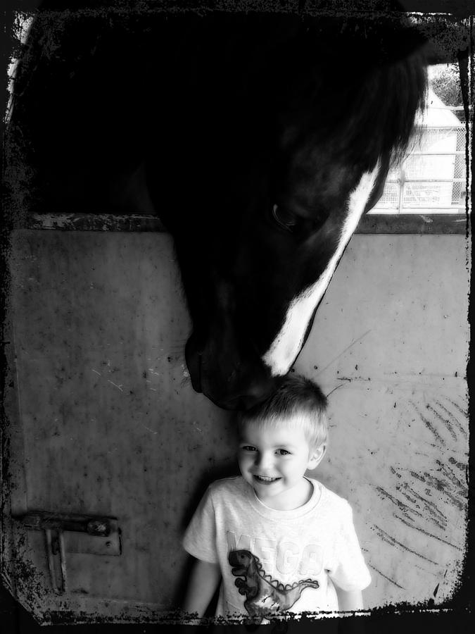 Horses Love Photograph