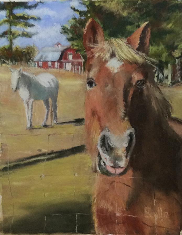 Horses on Main Rd. Pastel by Judith Scull